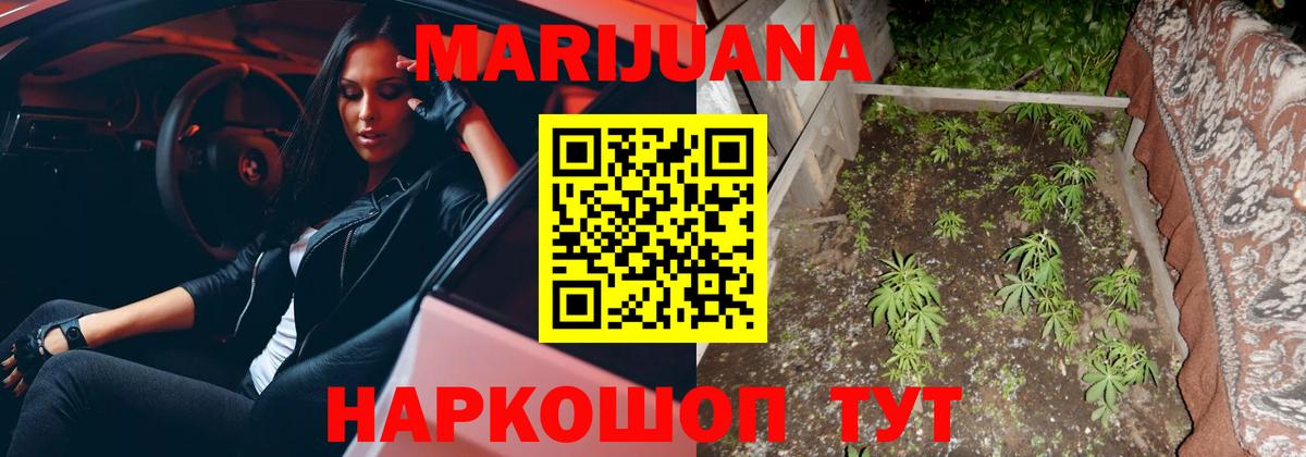 Шишки марихуана White Widow  МАРИХУАНА OG Kush  Каннабис Ganja  Пугачёв  Вход с VPN  Бошки Шишки Ganja 